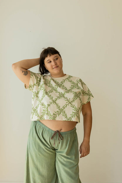 Willow Raglan Crop Tee