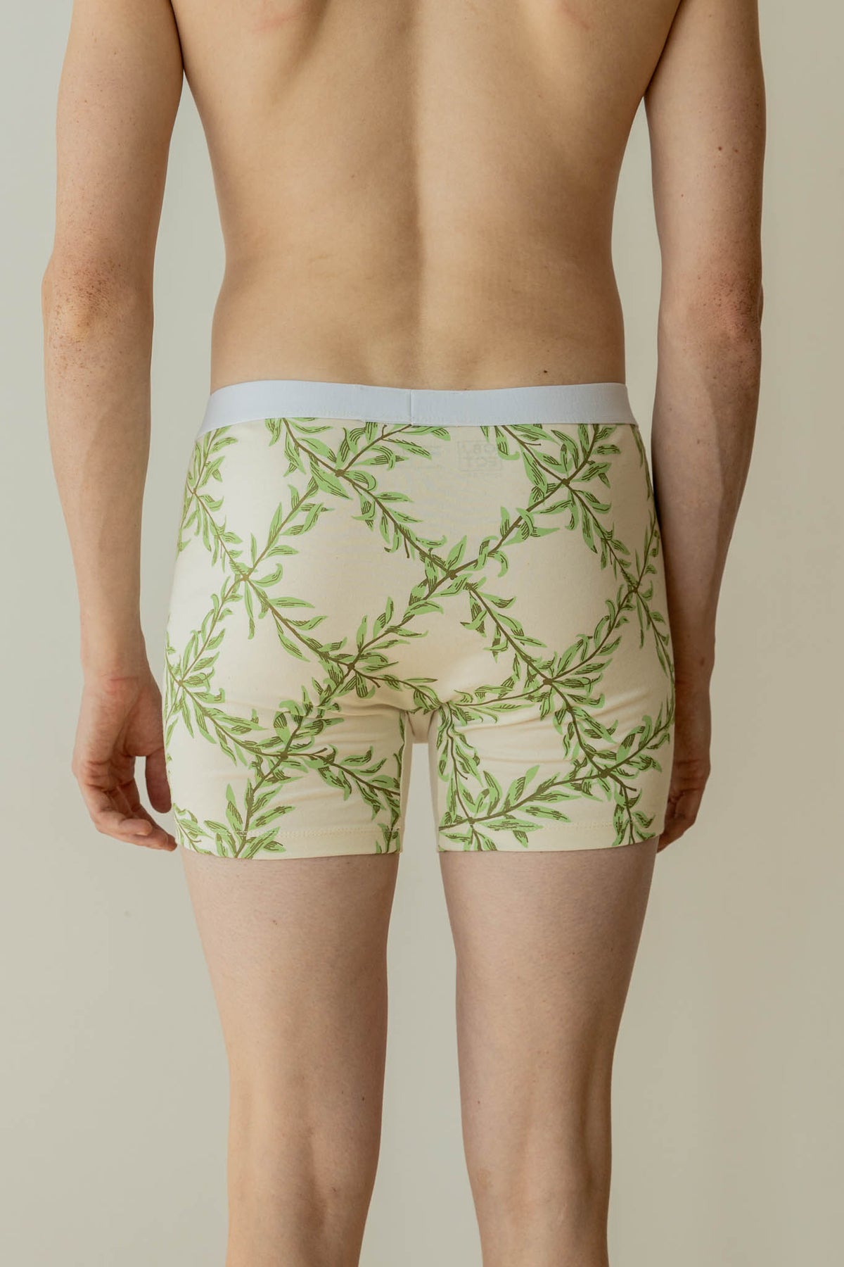 Willow Underwear